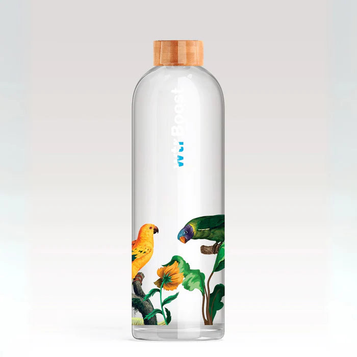Wtr Boost Borosilicate Tropical Glass Bottle 600Ml