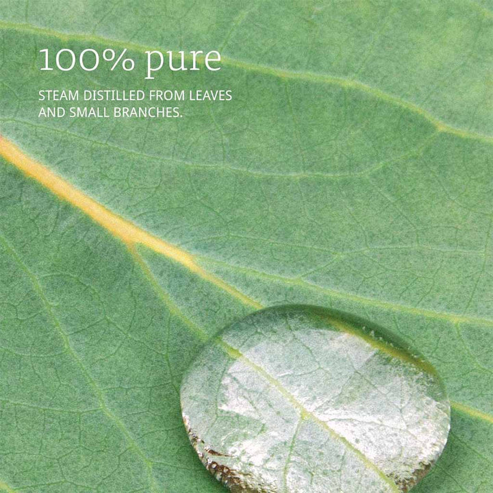 Now Eucalyptus Oil 30ml