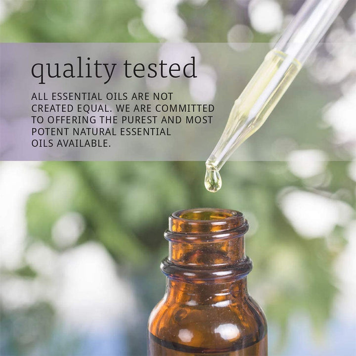 Now Ginger Oil 30ml