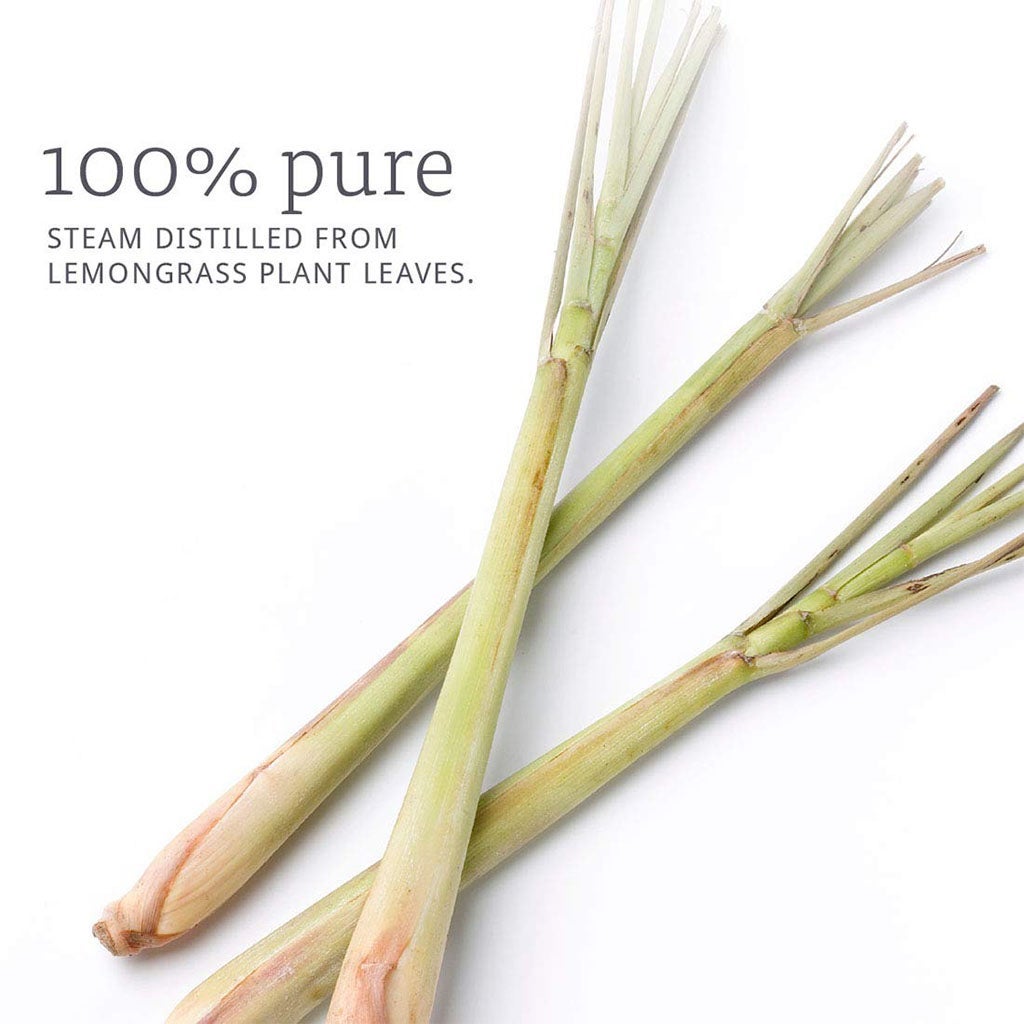 Now Lemongrass Oil 30ml