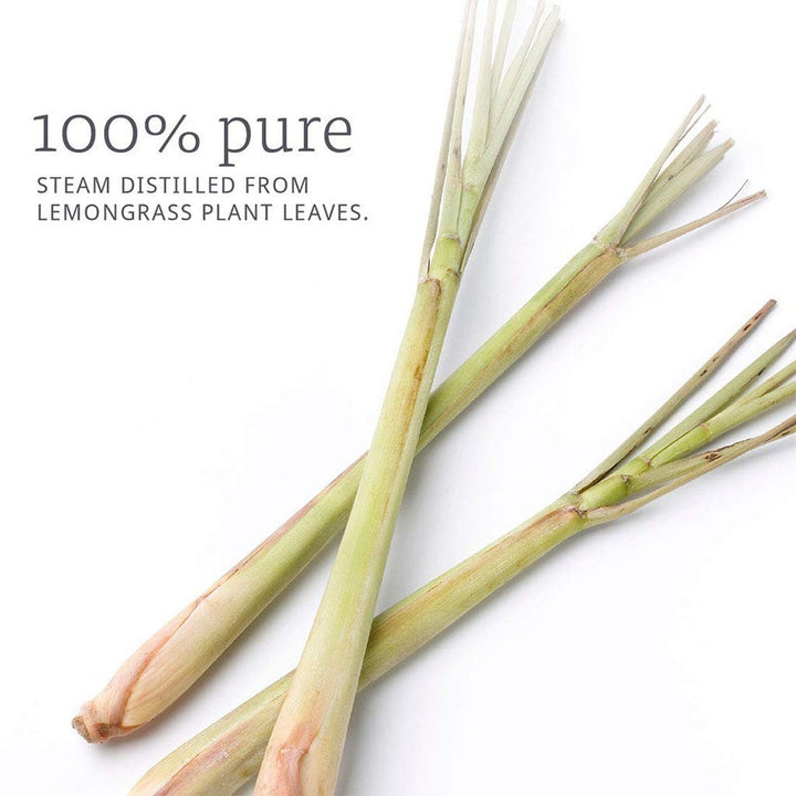 Now Lemongrass Oil 30ml