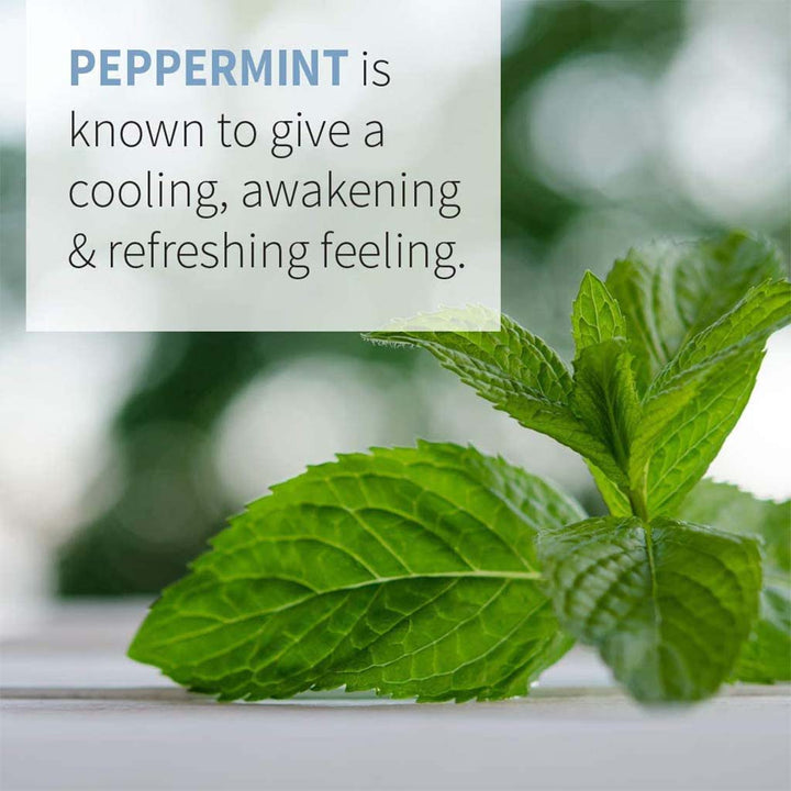 Now Peppermint Oil 30ml