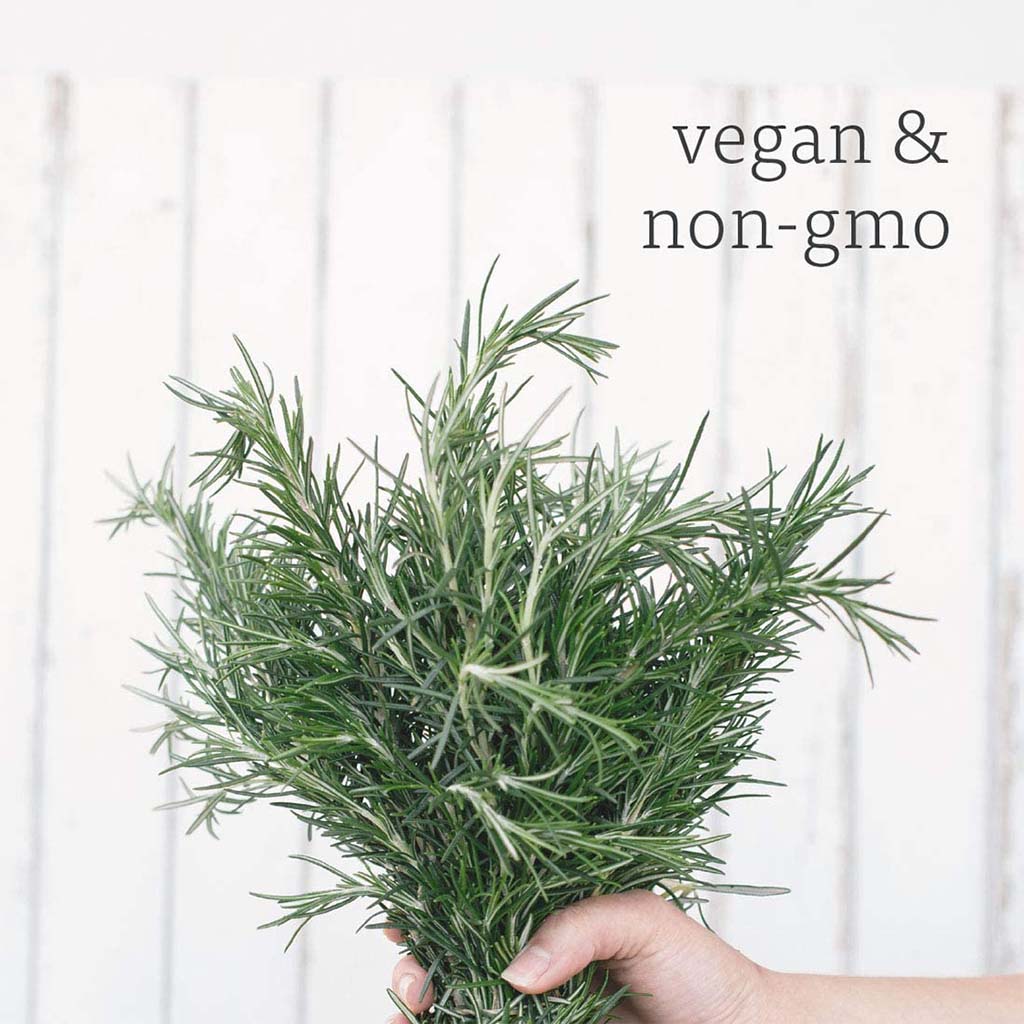 Now Rosemary Oil 30ml