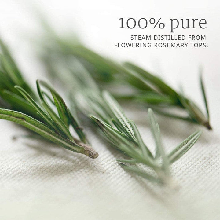 Now Rosemary Oil 30ml