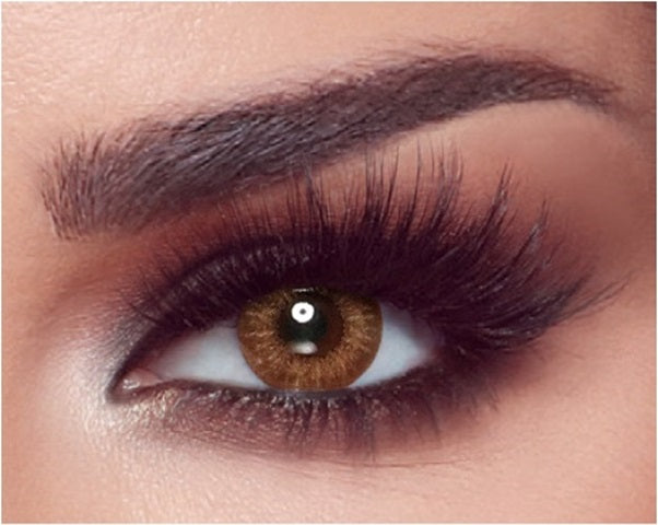 Bella One Day Almond Brown Lenses 10S