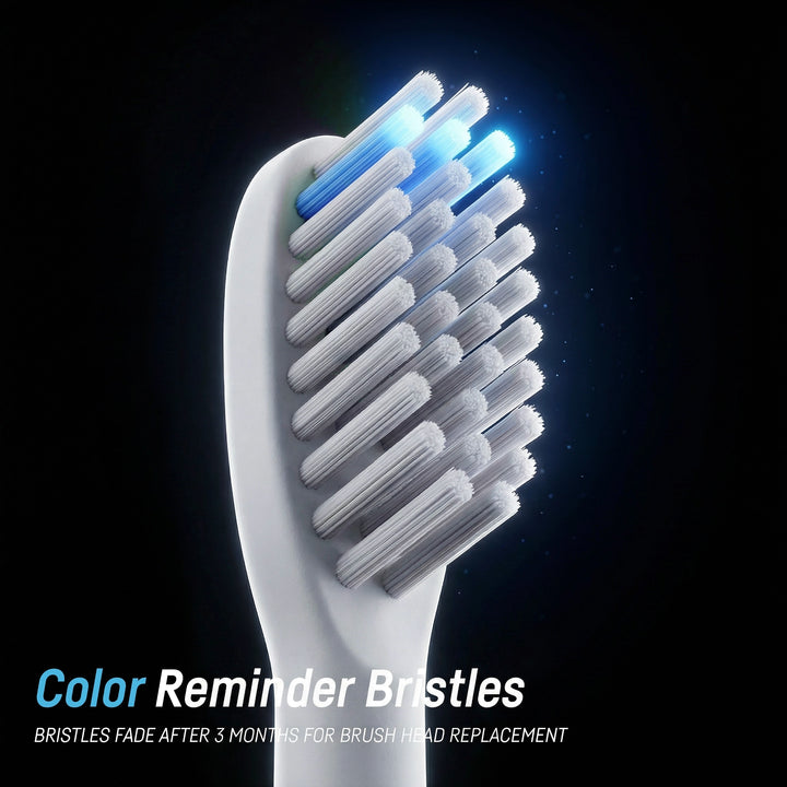 QUTEK QT-1741 WHITE DENTICARE SMART SONIC TB