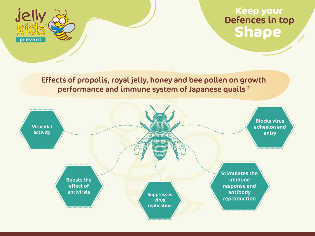 Infographic about the effects of propolis, royal jelly, honey, and bee pollen on Japanese quails' growth and immune system, branded as 'jelly kids'.