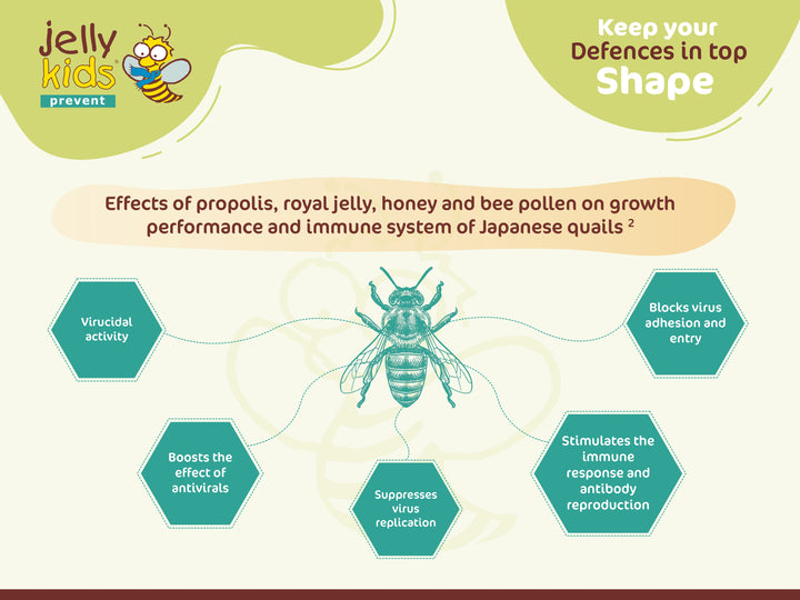 Infographic about the effects of propolis, royal jelly, honey, and bee pollen on Japanese quails' growth and immune system, branded as 'jelly kids'.