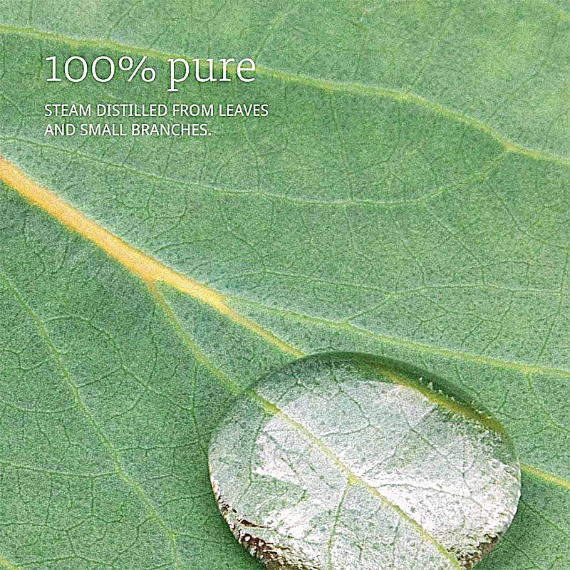 Now Eucalyptus Oil 30ml