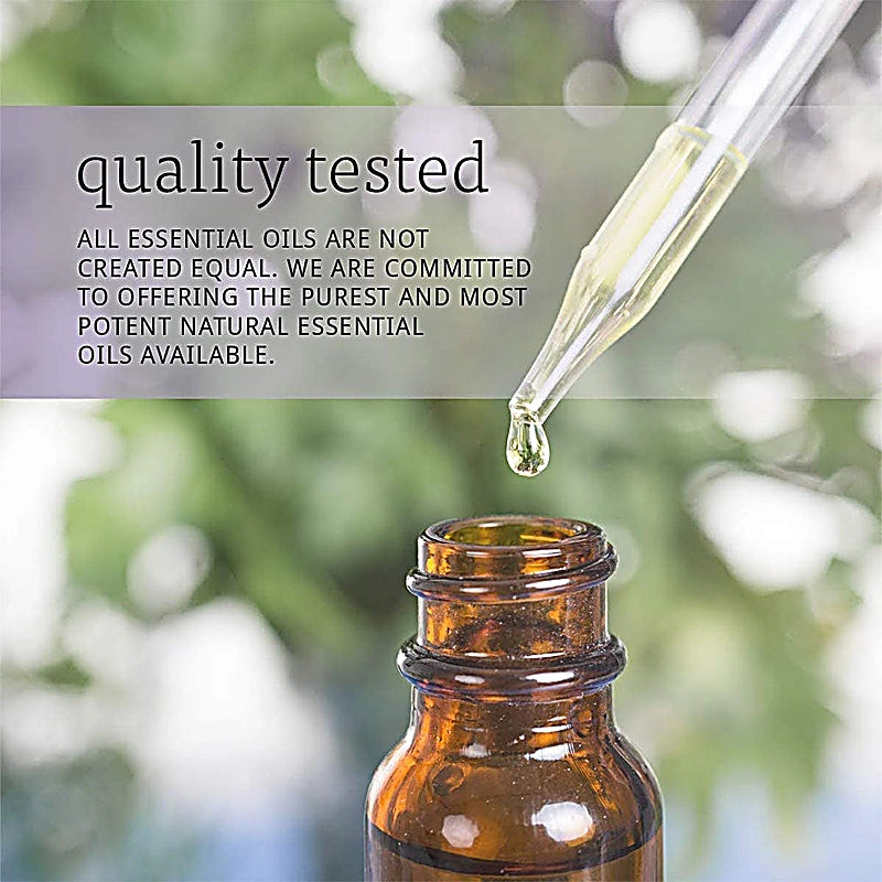 Now Ginger Oil 30ml