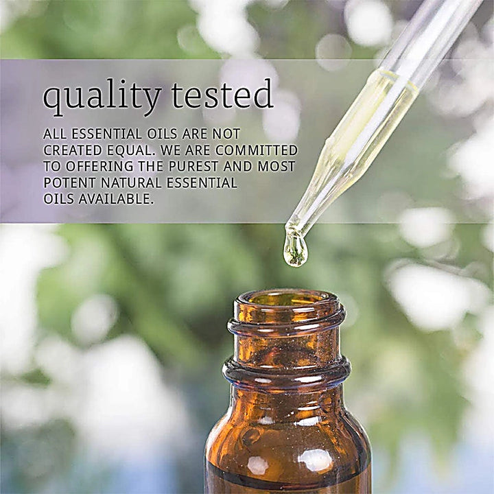 Now Ginger Oil 30ml