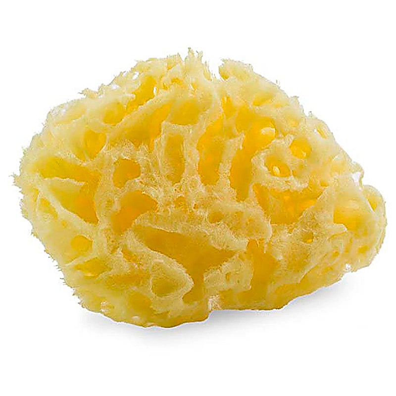 Pigeon Natural Sponge-L 815