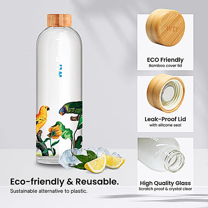 Wtr Boost Borosilicate Tropical Glass Bottle 600Ml