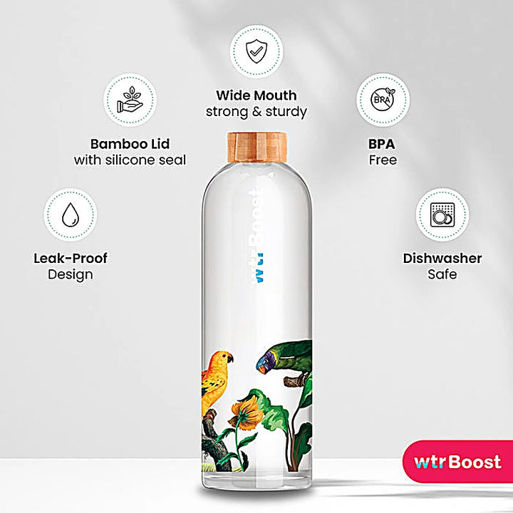 Wtr Boost Borosilicate Tropical Glass Bottle 600Ml